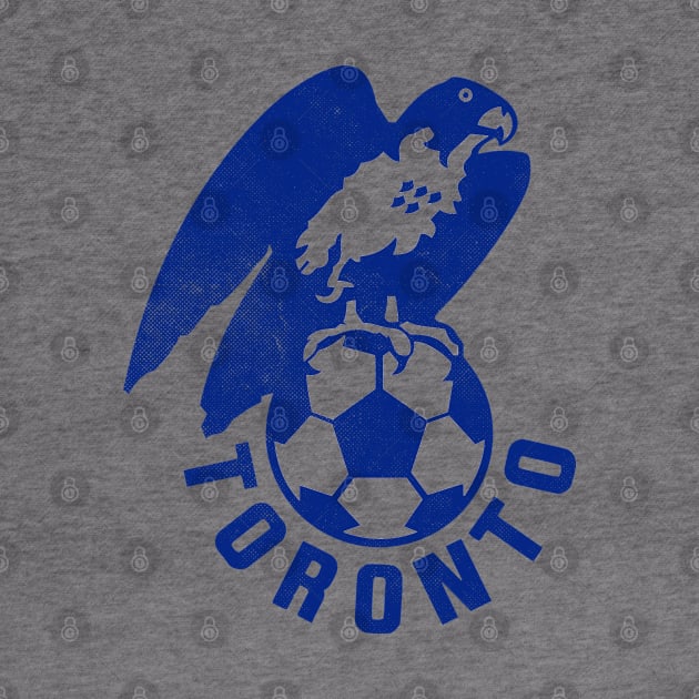 Defunct - Toronto City Soccer by LocalZonly